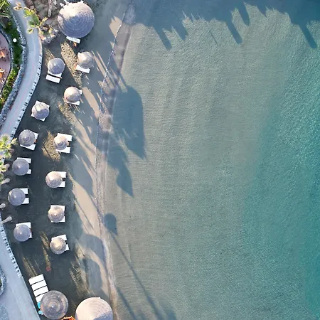 Hotel Amathus 5*