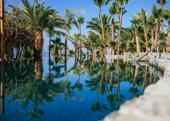 Amathus 5* לימסול